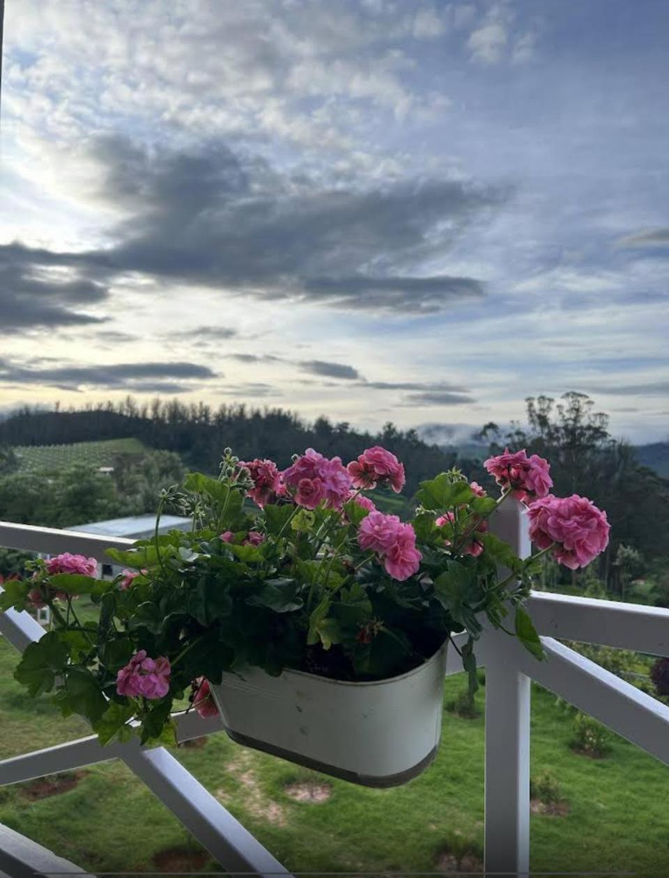Orchard Valley View 乌提 外观 照片
